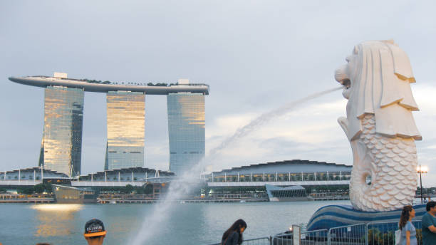 Singapore Water Flosser Market Strategic Insights and Business Growth Potential