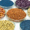 Biotech Seeds Market Study: Comprehensive Segmentation and Forecast