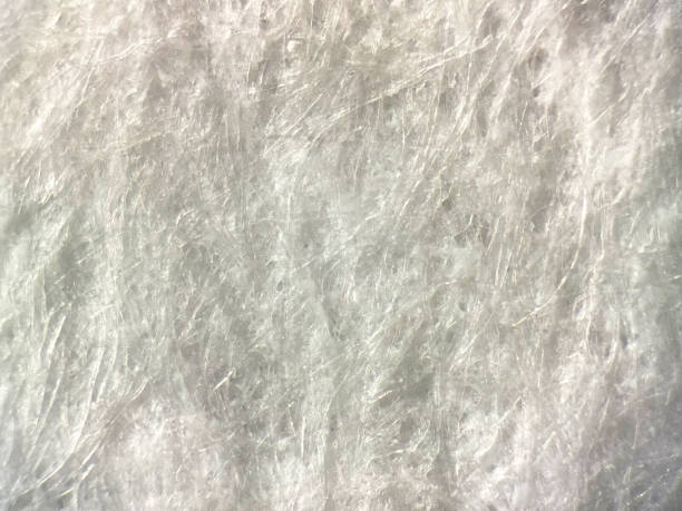 Japan Microfibrillated Cellulose Market Growth, Drivers, and Opportunities 2035