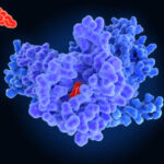 US Integrin Beta 3 Market Industry Analysis, Size, and Demand Forecast