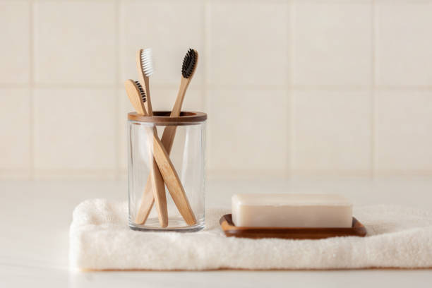 Singapore Bamboo Toothbrush Market Size, Trends, Analysis and Forecast till 2035