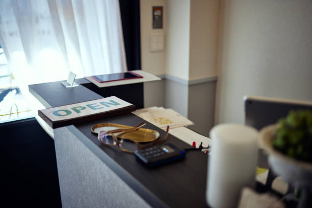 Japan Aromatherapy Diffusers Market Strategic Insights and Business Growth Potential