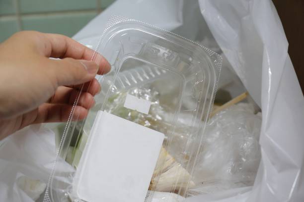 Japan Bioplastic Packaging Market Trends and Strategic Analysis 2025–2035