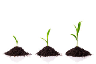 Japan Organic Fertilizers Market Size, Trends, Analysis and Forecast till 2035