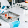 U.S. Seafood Safety Testing Market Size, Trends, Analysis and Forecast till 2035