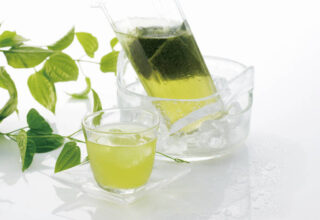 Japan Stevia Drinks Market Outlook 2025–2035: Trends and Forecast