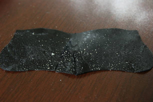 Japan Butyl Rubber Closure Market Opportunities and Regional Insights 2025–2035