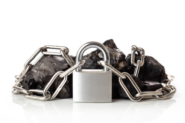 Japan Advanced Carbon Materials Market Trends and Strategic Analysis 2025–2035