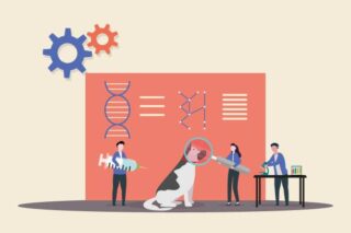 Animal Diagnostics Market Outlook: Strategic Growth and Industry Insights