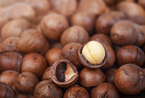 Europe Macadamia Market Size & Revenue Analysis 2035