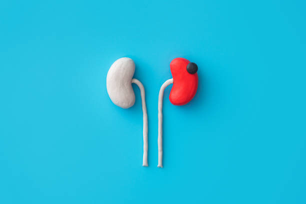 US Kidney Cancer Drugs Market Industry Analysis, Size, and Demand Forecast