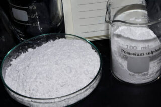 China Potassium Methoxide Market Industry Analysis, Size, and Demand Forecast