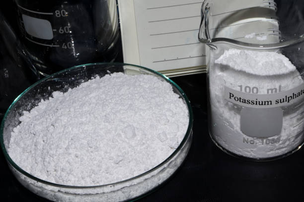 China Potassium Methoxide Market Industry Analysis, Size, and Demand Forecast