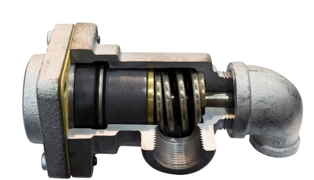 Singapore Manual Angle Seat Valve Market Strategic Insights and Business Growth Potential