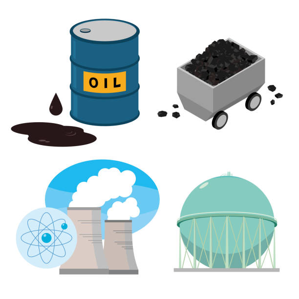 Singapore Petroleum Coke Market Insights: Regional and Segmental Analysis