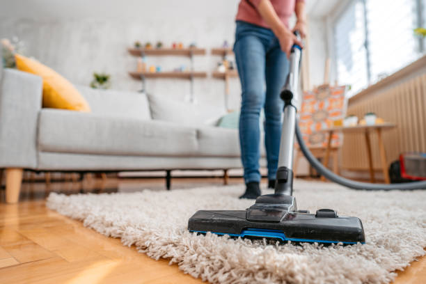 Europe Vacuum Cleaner Market Trends and Strategic Analysis 2025–2035