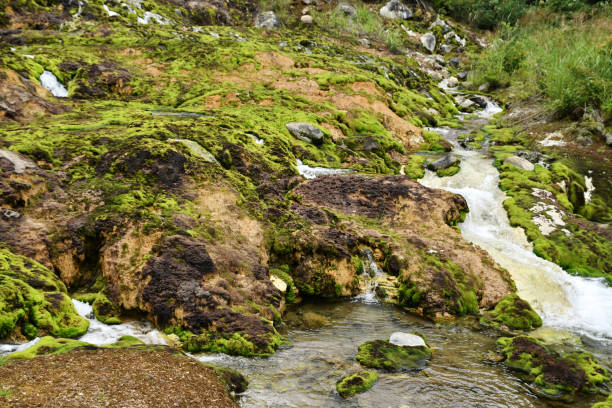 Japan Iron Ore Mining Market Opportunities and Regional Insights 2025–2035