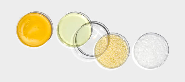 China Bioplastics & Biopolymers Market Size, Share, Growth Drivers Report 2035