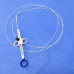 Europe Endoscopic Mucosal Resection Market Insights: Regional and Segmental Analysis