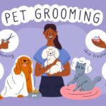 Pet Grooming Services Market Strategies: Competitive Insights for Expansion