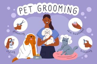 Pet Grooming Services Market Strategies: Competitive Insights for Expansion