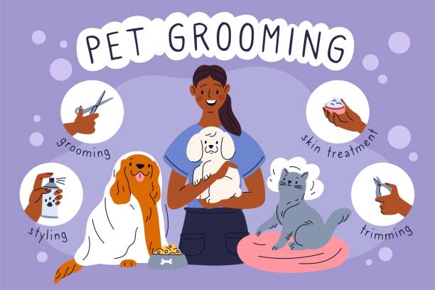 Pet Grooming Services Market Strategies: Competitive Insights for Expansion