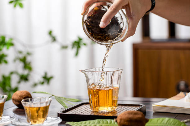 Japan Beer Brewing Equipment Market Research Report: Trends, Insights, and Forecast 2035