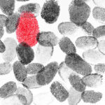 Europe Security Ink Market Size & Revenue Analysis 2035