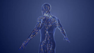 Singapore Radiography Systems Market Size & Revenue Analysis 2035