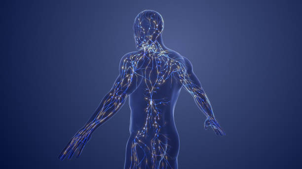 Singapore Radiography Systems Market Size & Revenue Analysis 2035