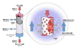 Japan Electrodialysis Reversal System Market Size, Trends, Analysis and Forecast till 2035