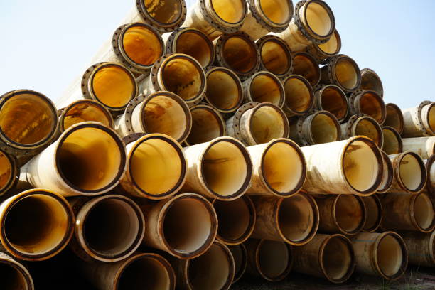 China Packaging Coating Market Insights: Regional and Segmental Analysis