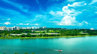 Singapore Xylitol Market Research Report: Trends, Insights, and Forecast 2035