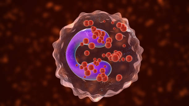 US Eosinophilic Asthma Treatment Market Outlook 2025–2035: Trends and Forecast