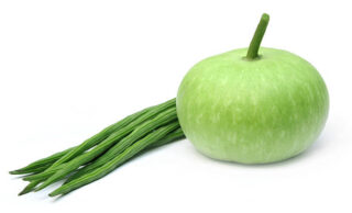 China Moringa Ingredients Market Insights: Regional and Segmental Analysis