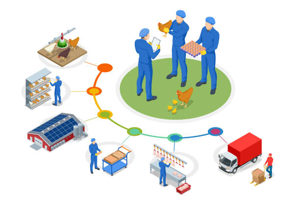 Europe Internet of Things and Traceability for Food & Beverage Manufacturing Market Opportunities and Regional Insights 2025–2035