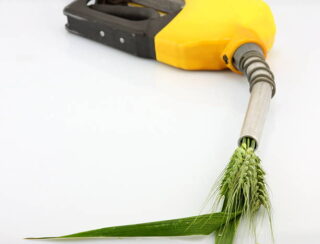 China Bioethanol Market Outlook 2025–2035: Trends and Forecast