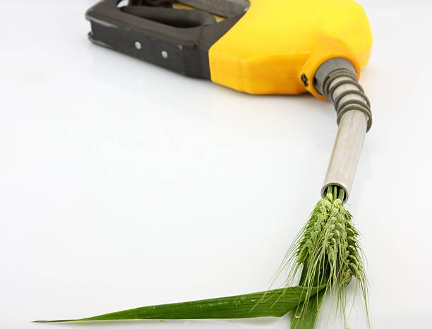 China Bioethanol Market Outlook 2025–2035: Trends and Forecast