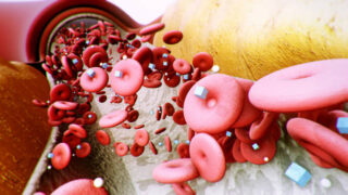 Japan Metabolism Drugs Market Growth, Drivers, and Opportunities 2035