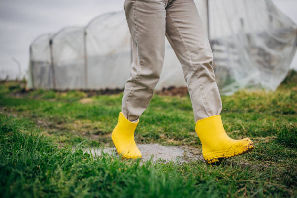 Singapore Rain Boots Market Insights: Regional and Segmental Analysis
