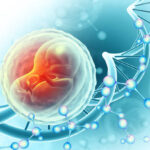 Europe Gynecological Devices Market Trends and Strategic Analysis 2025–2035