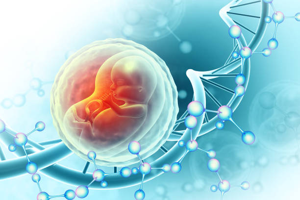 Europe Gynecological Devices Market Trends and Strategic Analysis 2025–2035