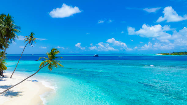 U.S. Shore Power Market Industry Analysis, Size, and Demand Forecast