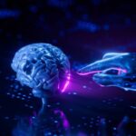 Europe Natural Language Processing Market Insights: Regional and Segmental Analysis