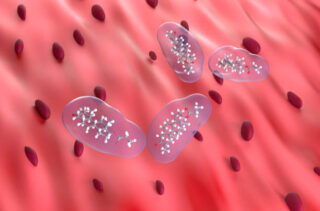 Europe Endotoxemia Market Growth, Drivers, and Opportunities 2035