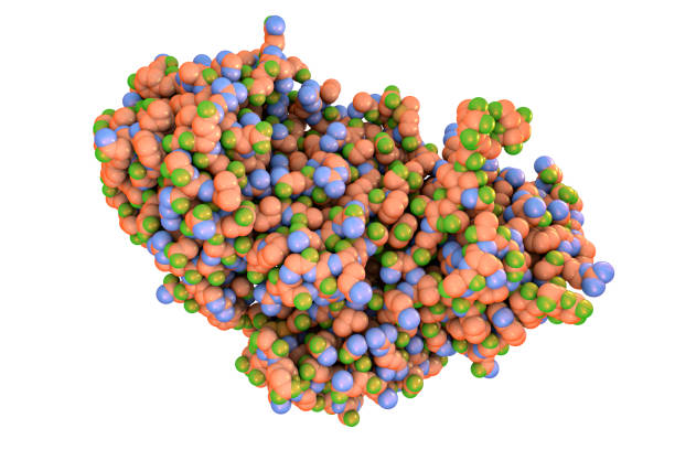 Japan Integrin Beta1 Market Size & Revenue Analysis 2035