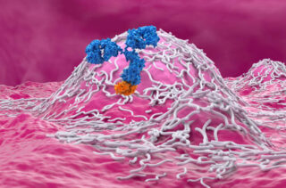 Europe Ependymoma Market Insights: Regional and Segmental Analysis