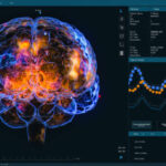 Singapore 3D Animation Software Market Insights: Regional and Segmental Analysis