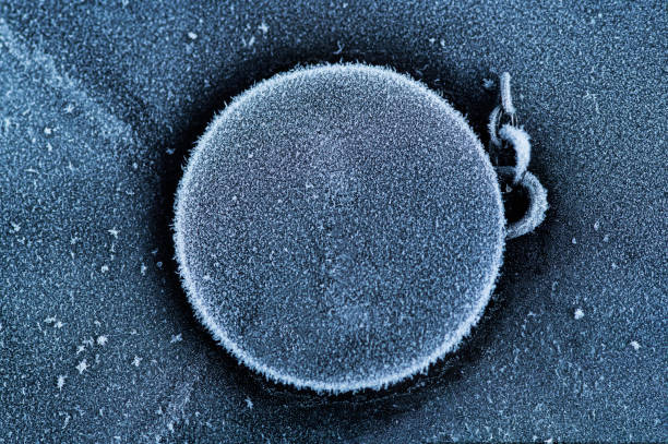 U.S Cryo-Electron Microscopy Market Research Report: Trends, Insights, and Forecast 2035