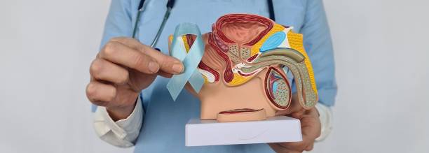 China Prostate Cancer Therapeutics Market Outlook 2025–2035: Trends and Forecast